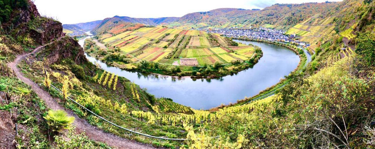 Haus Am Ufer Mit Rheinpanoramablick Apartment โคเบลนซ์ ภายนอก รูปภาพ