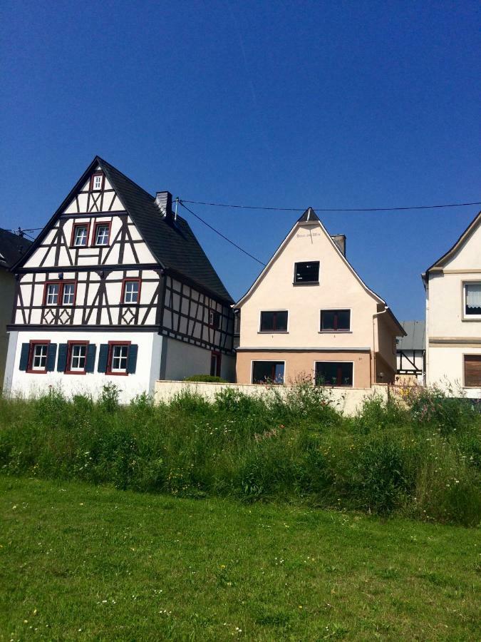 Haus Am Ufer Mit Rheinpanoramablick Apartment โคเบลนซ์ ภายนอก รูปภาพ